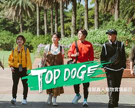 麻豆传媒团队《TOP DOG》免费在线观看