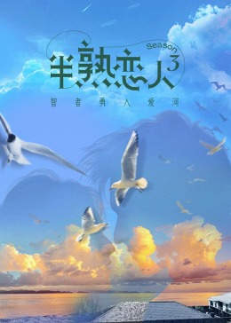 麻豆传媒团队《半熟恋人 第三季》免费在线观看