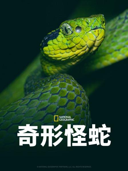 麻豆传媒在线《奇形怪蛇》免费在线观看